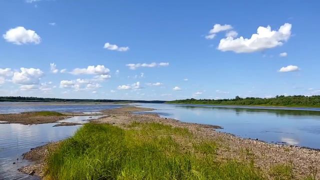 Колесниковы// Как Леша проблемы решает// Обзор видео// смотреть онлайн