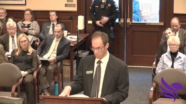 Fred Birnbaum testifies against H81, the Maternal Mortality Review Committee смотреть онлайн