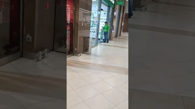 Санкт-Петербург ТЦ Лето смотреть онлайн