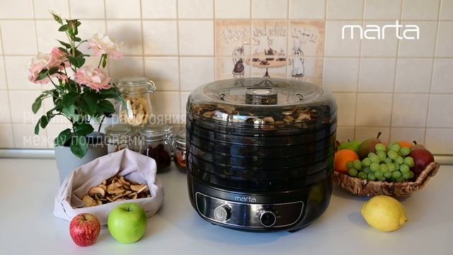 Электросушилка MARTA MFD-8015PS смотреть онлайн