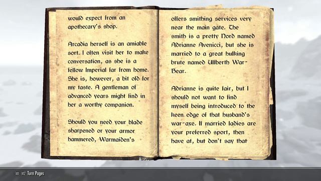 A Gentleman's Guide to Whiterun - Skyrim SE - Skyrim book - College of Winterhold Ambience смотреть онлайн