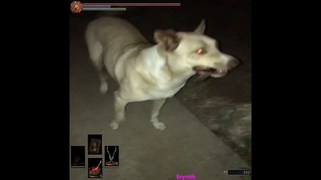 You shall not pass, hooman! смотреть онлайн