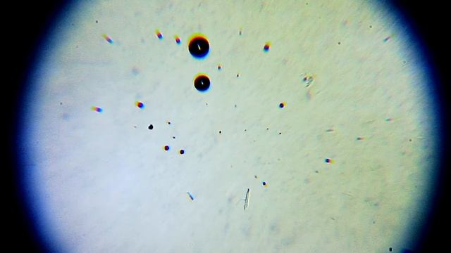 мед каштановый увел х100