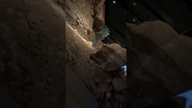 The Majestic Vasa: A Tour of Stockholm's Most Treasured Museum смотреть онлайн