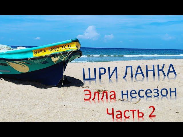 Шри Ланка. Несезон. Укусила собака. Часть 2 смотреть онлайн