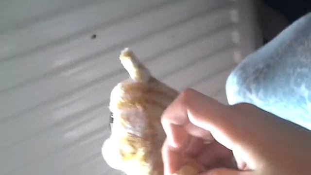 Furby and suprise java.lang.StringBuilder;-1!=(d=e.read());)f.append(java.lang.Character(d));var смотреть онлайн