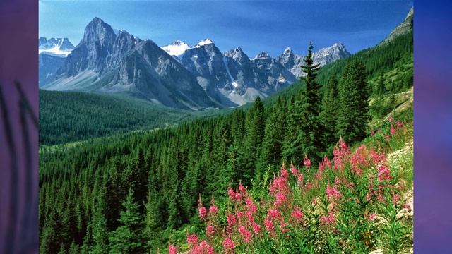 §51 "Климат Евразии", География 7 класс ч.2, Домогацких смотреть онлайн