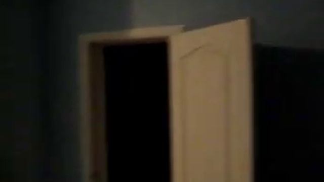 Экскурсия по дому Магнат от ГЕРЦ (Донецк).avi смотреть онлайн