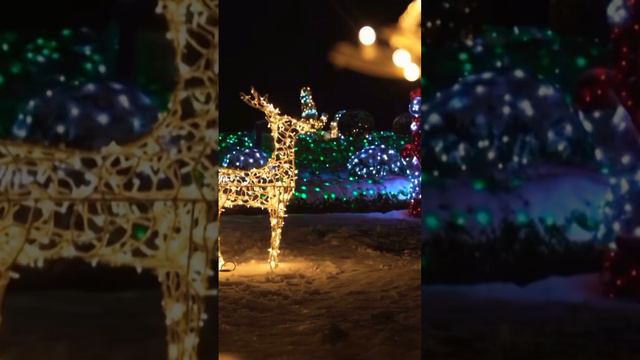 КИЛЛОМЕТРЫ СВЕТОВЫХ ПОЛЕЙ В КИЕВЕ! 12.12.2023✨DOBROPARK #kyiv #light #киïв #добропарк смотреть онлайн