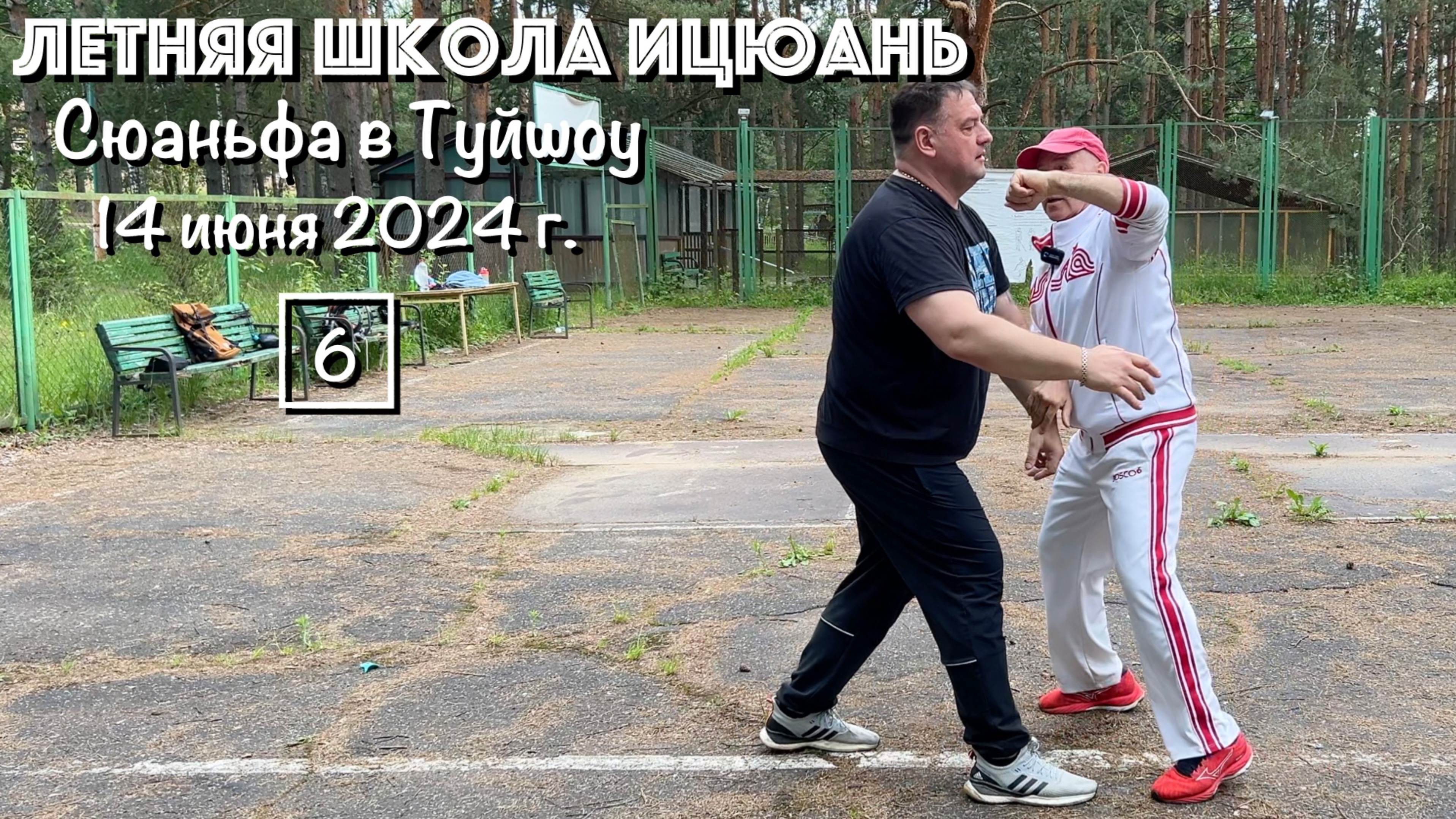 Летняя Школа Ицюань-2024 (6) Применение Сюаньфа в Туйшоу (14.06.24)