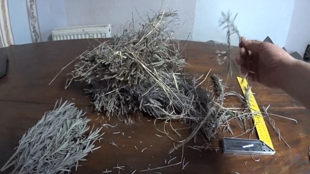 Идея для бизнеса... Всё на тех же декоративных растениях ))) смотреть онлайн