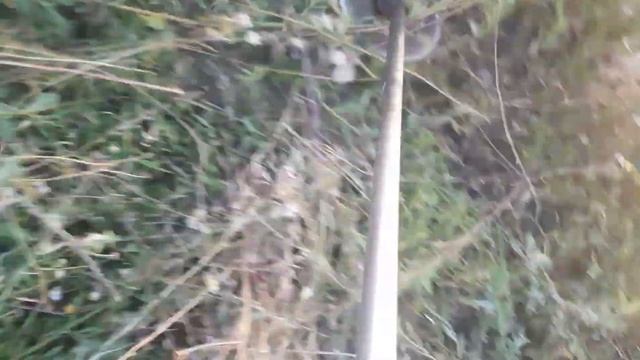 Как запустить мотокосу с первого пуска? Какая мотокоса лучше? смотреть онлайн