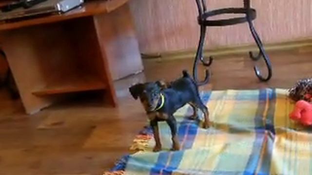 Золотое детство смотреть онлайн