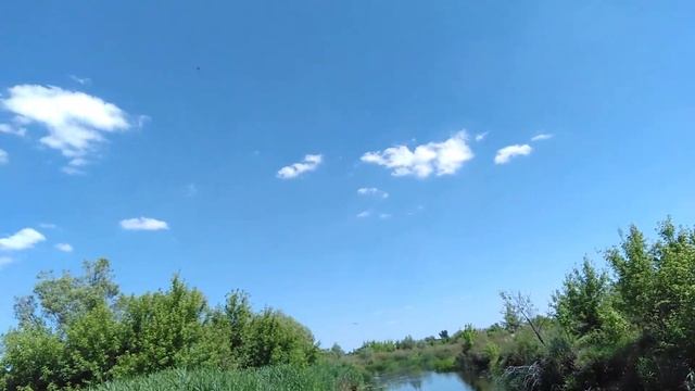 Июнь 2019. Мост через Битюг в Старой Чигле... смотреть онлайн