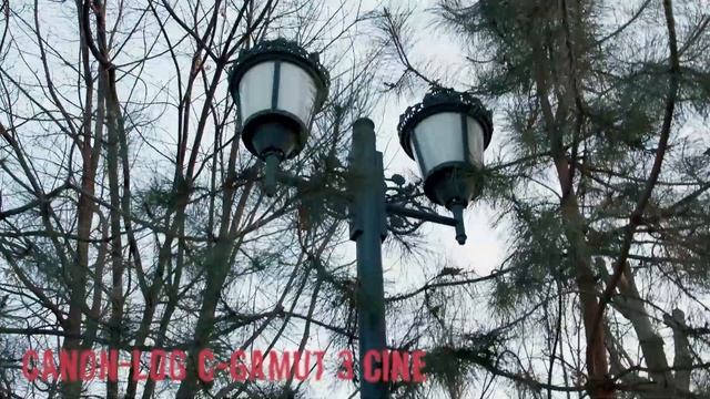 Canon EOS C70 смотреть онлайн