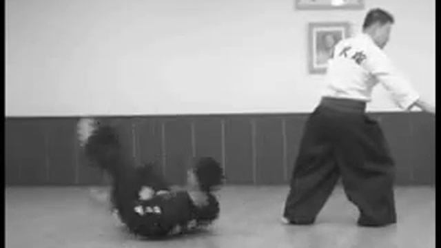 Ханки 6(Юк) Джанг (Мок Гама Боп), №6 смотреть онлайн