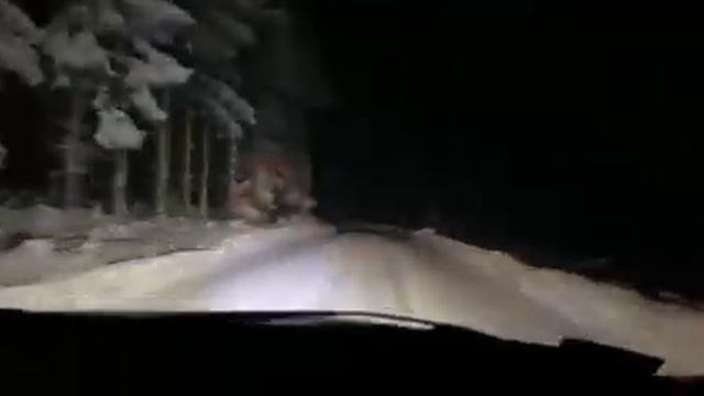 Audi A4 B5 Quattro 1.9 tdi 250/450 смотреть онлайн