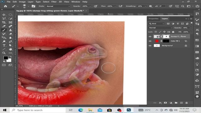 Frog manipulation in photoshop | Photoshop manipulation | Hmglab смотреть онлайн