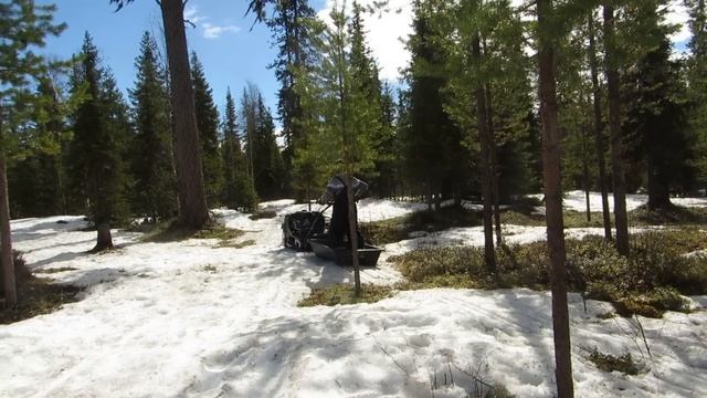 В тайгу на "Партизане" смотреть онлайн