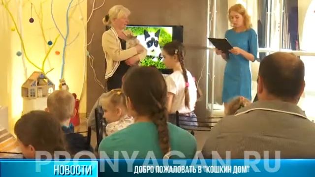 Добро пожаловать в "Кошкин дом"! смотреть онлайн