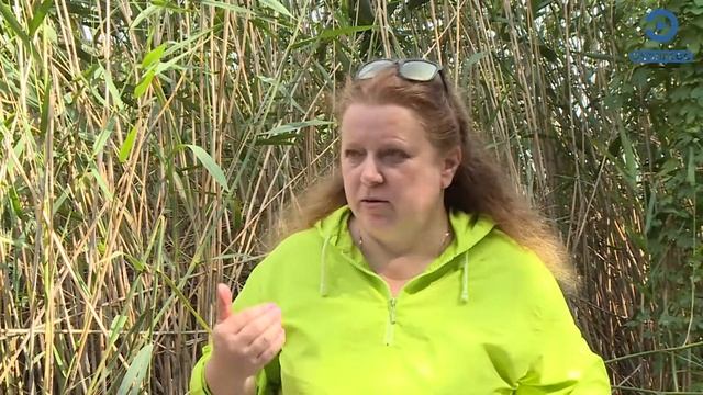 Пензенские активисты шокированы результатами анализов реки Мойки смотреть онлайн