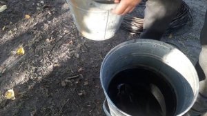 Как покрасить ленту ивы в черный цвет без химии