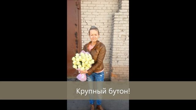 25 роз 60 см смотреть онлайн