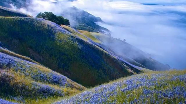 Я помню чудное мнгновенье!Пушкин. смотреть онлайн