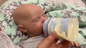 ВЛОГ с реборном Авророй и беби боном Мией