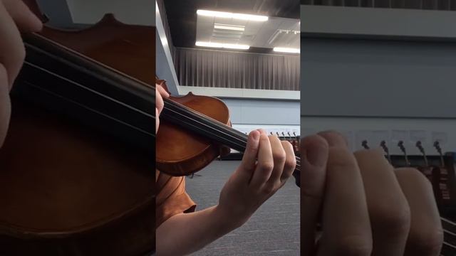Monkey Song-Violin/Viola смотреть онлайн
