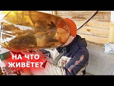 Кто-то РУБИТ НА ДОНАТАХ, а мы ЗАРАБАТЫВАЕМ ТАК! смотреть онлайн