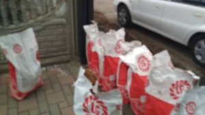 Семена Подсолнечника Тунка 2018