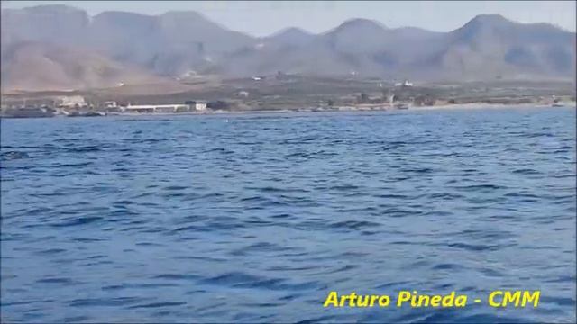 Arturo Pineda CMM - Calderones en el Puerto de Mazarrón смотреть онлайн