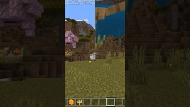 Майнкрафт Бедрок Бета/Превью 1.19.80.22 #minecraft #майнкрафт #minecraftbedrock смотреть онлайн