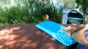 Матрас самонадувающийся из Китая - сдуваем и сворачиваем.