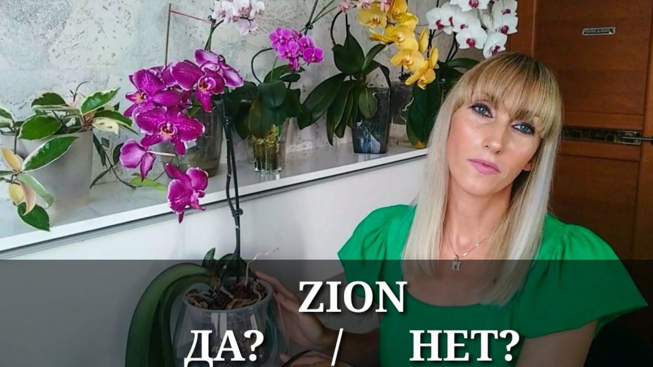 ЦИОН / 6 мес. использования ZION / КАКОЙ РЕЗУЛЬТАТ? смотреть онлайн