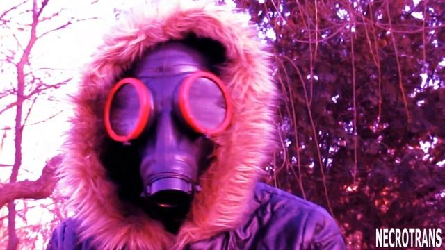 ПРОТИВОГАЗНАЯ МАСКА, КОЖАНЫЙ ПУХОВИК И ЛОСИНЫ. ПРОГУЛКА ПО ПАРКУ В ПРОТИВОГАЗЕ смотреть онлайн