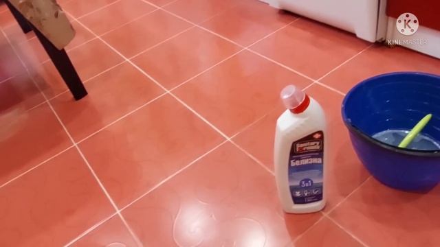 VLOG?:не выхожу из дома, заказ продуктов / рубленные котлетки смотреть онлайн