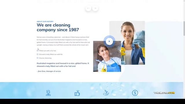 Dustar Cleaning Services WordPress Theme cleaner handyman Airi смотреть онлайн
