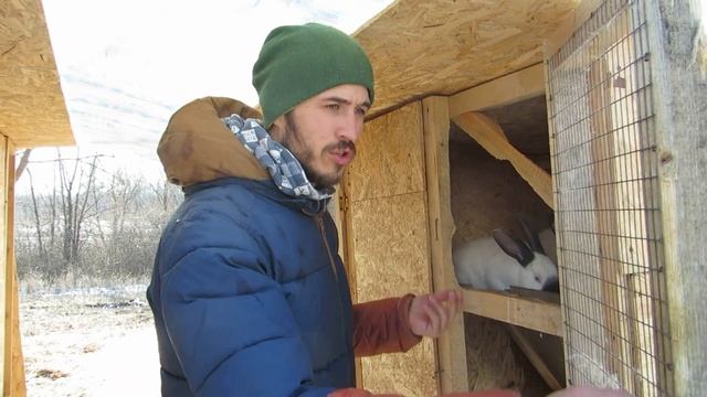 РАЗМЕРЫ КЛЕТОК ДЛЯ КРОЛИКОВ. КОРМЛЕНИЕ. смотреть онлайн