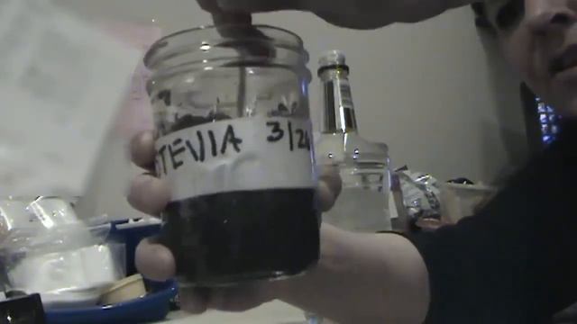 DIY Video How to make Stevia Herbal Extract-Lymes Disease-Morgellons-Fungal Infections смотреть онлайн