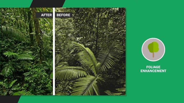 Best Software For Photo Editing - Photolemur 3