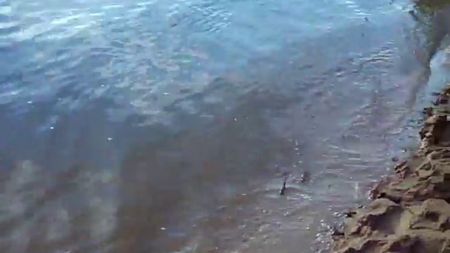 Живописно (Beautifully) смотреть онлайн