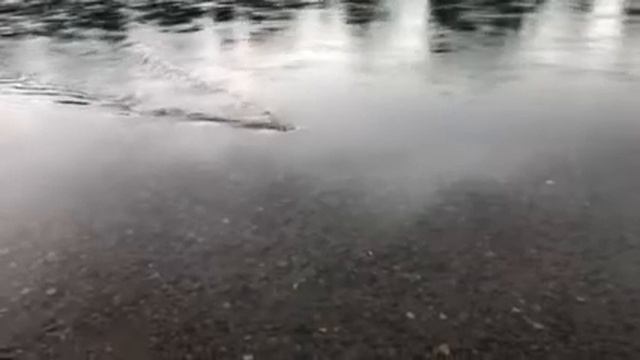 Рыбалка, ловля на живца, чулым 2020, хорошая рыбалка. Клёв сильный смотреть онлайн