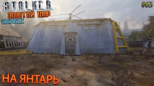НА ЯНТАРЬ | S.T.A.L.K.E.R. ЗОЛОТОЙ ШАР ЗАВЕРШЕНИЕ | Серия 63