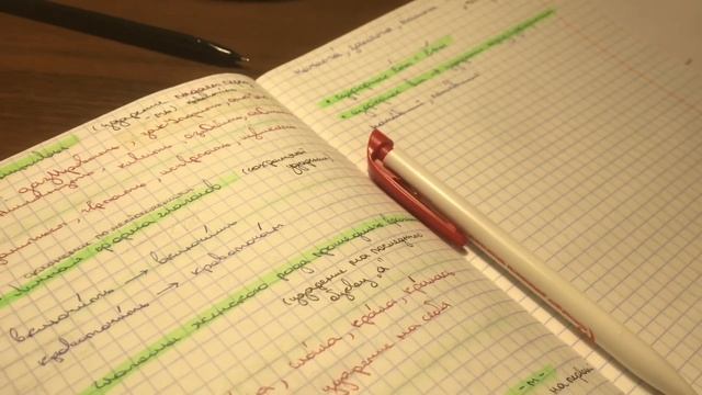 егэ по русскому языку/ жизнь в одиннадцатом классе смотреть онлайн