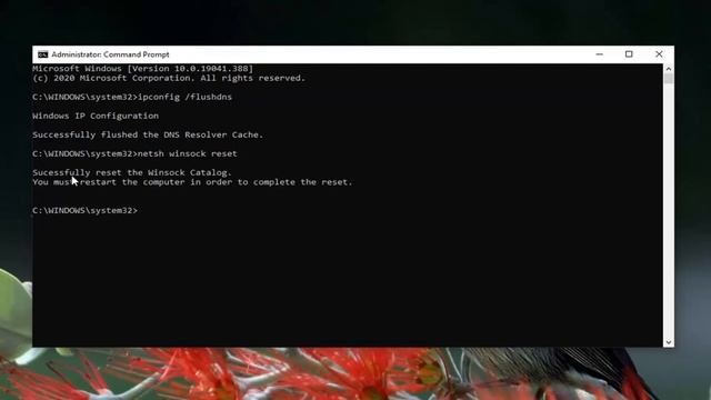 How to Fix Error 403 (Forbidden) in Any Web Page in Google Chrome смотреть онлайн
