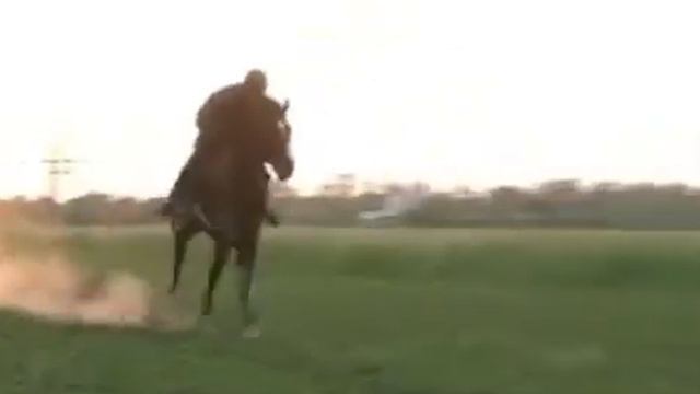 Пьяный конь!!! смотреть онлайн