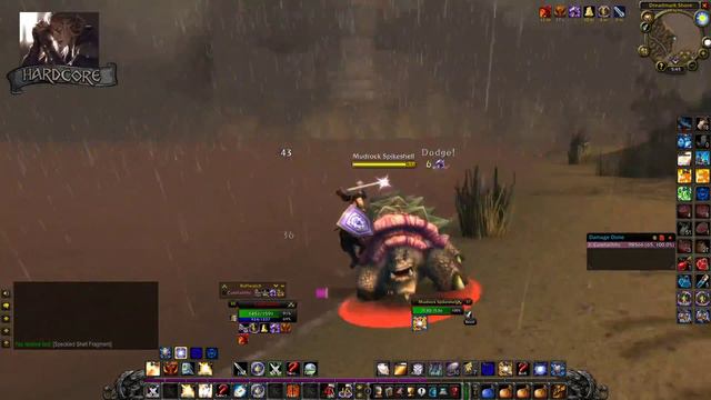 (Level 33) Paladin has 1 Life (DEATH = DELETE) - Classic WoW Hardcore (part 43) смотреть онлайн