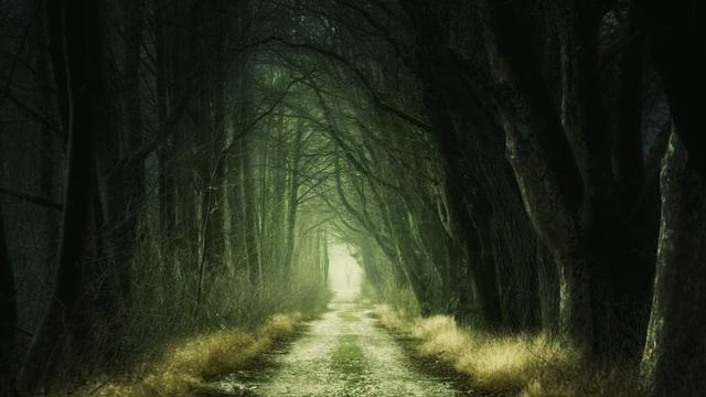 Кот Баюн Самый неоднозначный сказочный герой смотреть онлайн